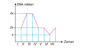 dna miktarı