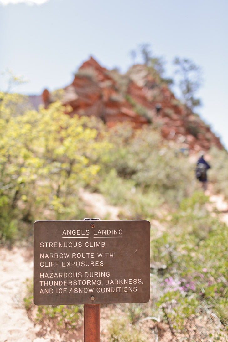 Angels Landing Hike Zion National Park.