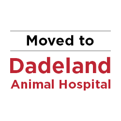 Dadeland Animal Hospital logo