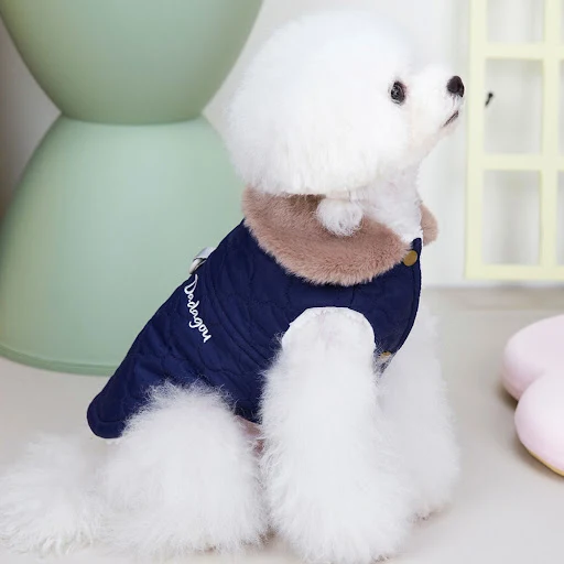 Waterproof Winter Pet Jacket Clothes Super Warm Small Dogs Clothing With Fur Collar Cotton Pet Outfits French Bulldog Co