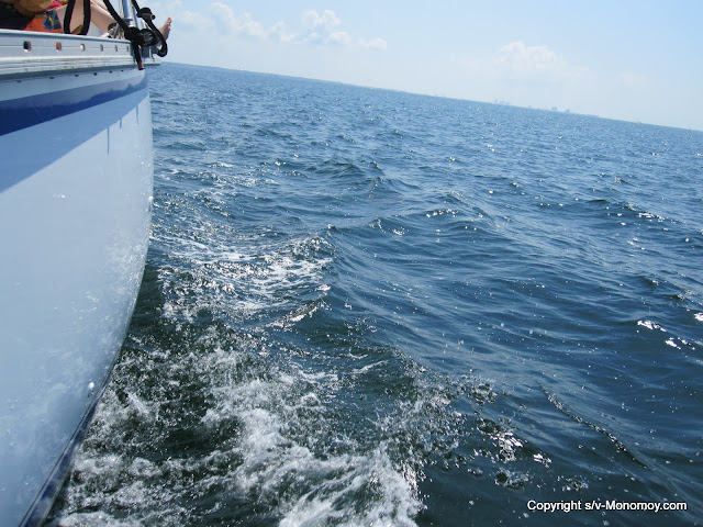 sailing