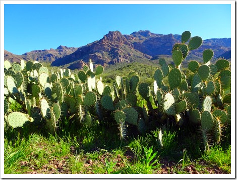 Lost Gold Canyon Trail