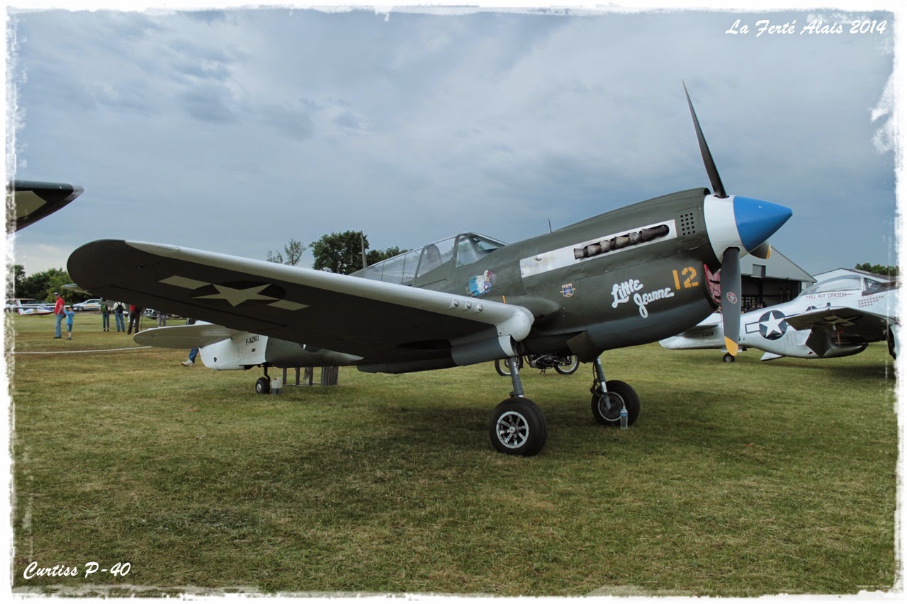 Curtiss P-40E : Doc et infos IMG_1768