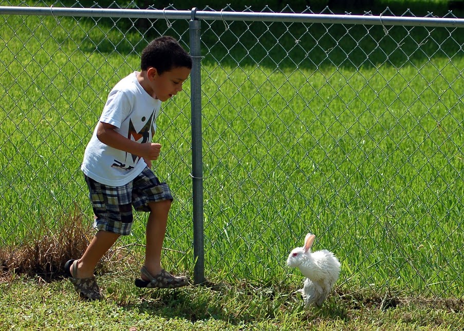 Happy Easter.... 2011-08-22+Playing+with+Bunnies+018