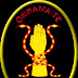 OKINAWA TE KARATE SYSTEM