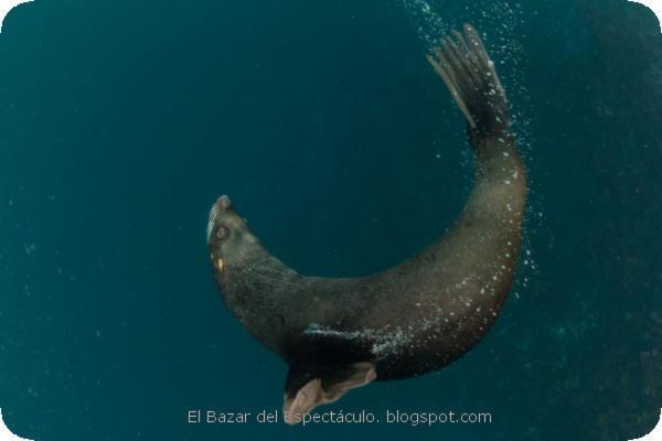 Yaganes en National Geographic (1).jpeg