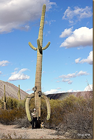 Doug, Fergie and Yuma under huge Saguaro Cactus