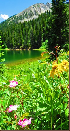 Crested Butte68-11 Jul 2016