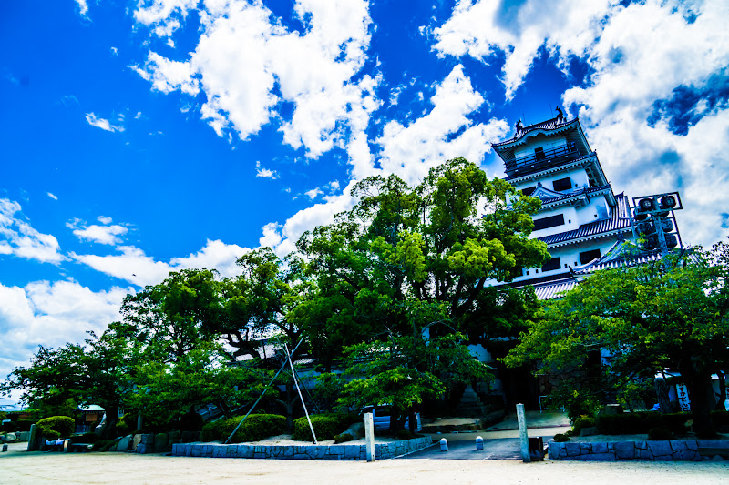 Imabari Castle