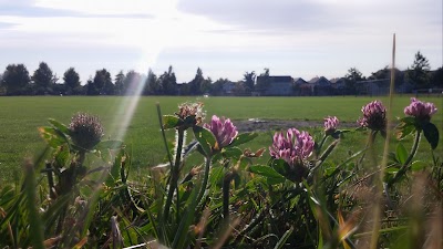 Photos of Hillcrest Park