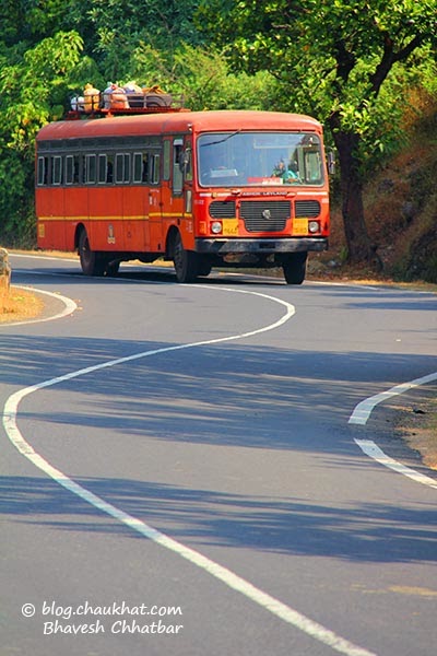 MSRTC bus