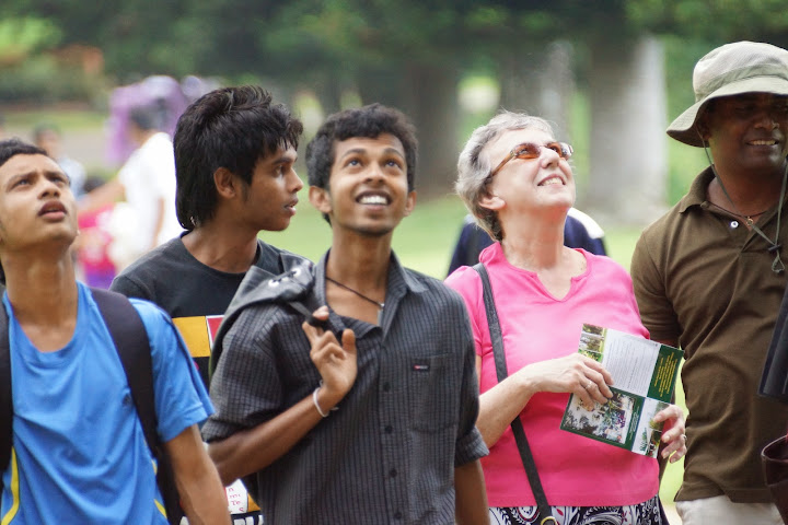 Шри-Ланка: на машине 1 100 км,  фото без комментариев, март-апрель 2013г.