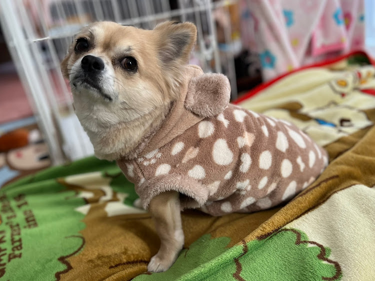 ステップワゴンスパーダの今年もあとわずか・１年間ありがとうございました・今年最後の洗車・来年もよろしくお願いしますに関するカスタム事例の投稿画像10枚目
