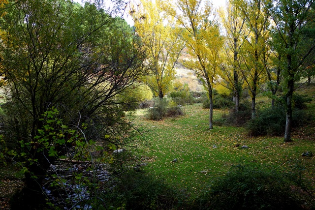 Cascada del Hornillo, Sta. Mª de la Alameda (Madrid). Monasterio del Escorial. - Comunidad de Madrid: pueblos, rutas y lugares, incluyendo senderismo (19)