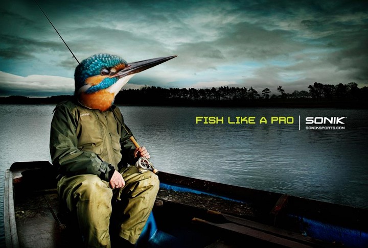 Fish Like a Pro