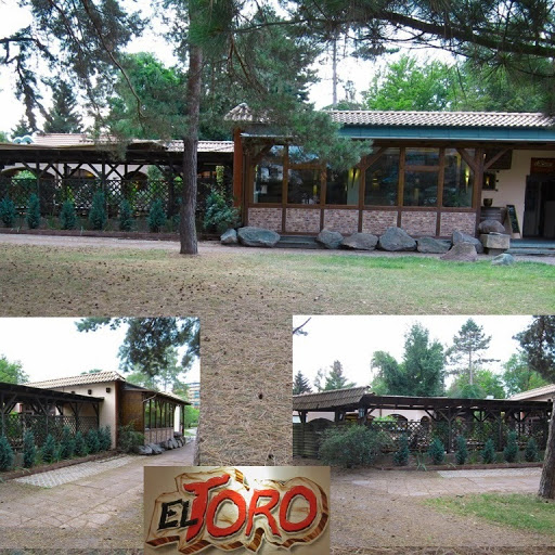 El Toro logo