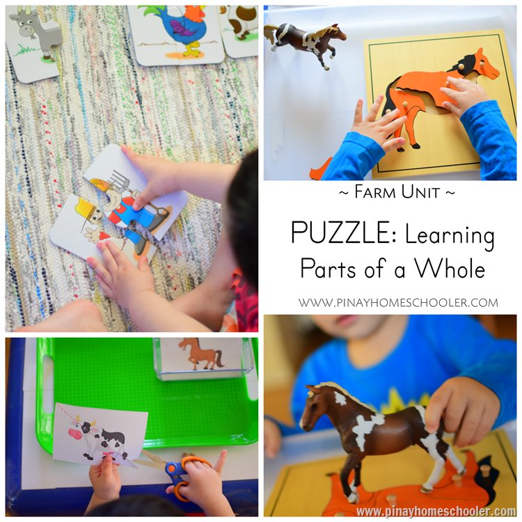 Puzzles for Learning!