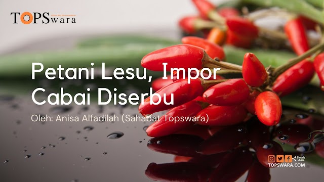 Petani Lesu, Impor Cabai Diserbu 