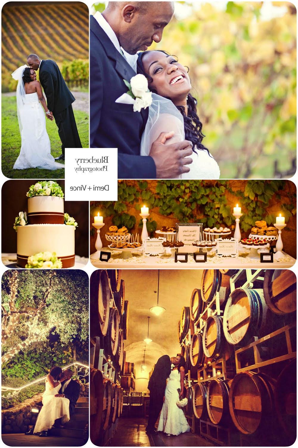 Sonoma Vineyard Wedding