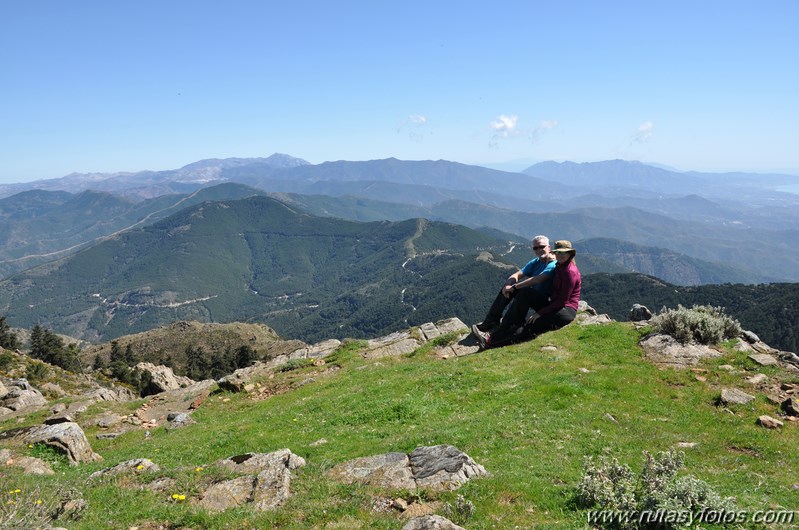 Los Reales de Sierra Bermeja