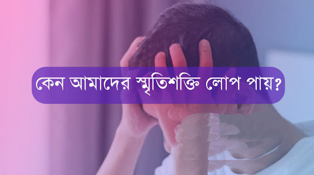 কেন আমাদের স্মৃতিশক্তি লোপ পায়?