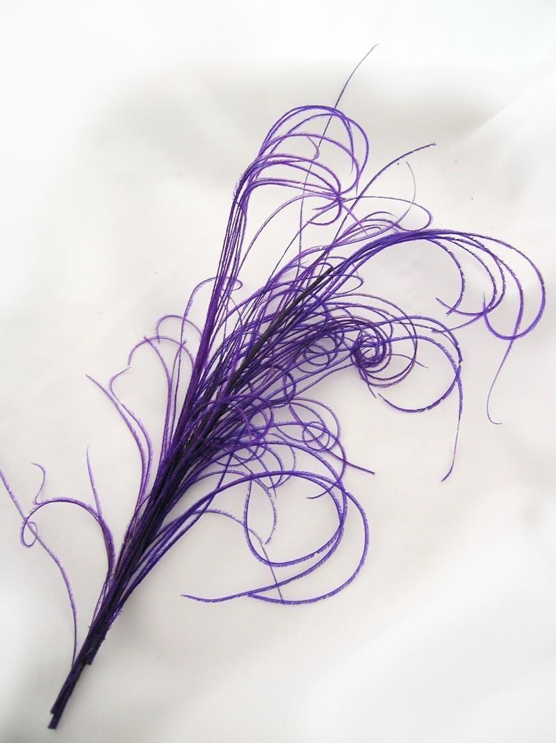 Sprig of ROYAL PURPLE peacock