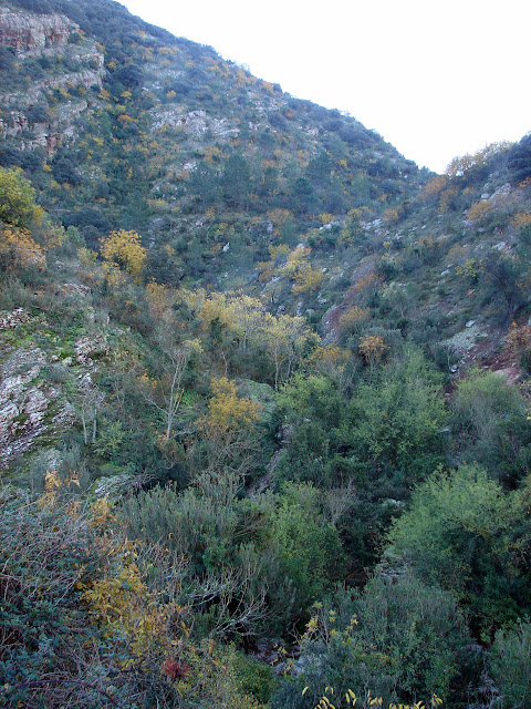 Senderismo - Barranco de Aguas Negras