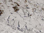 Avalanche Ecrins, secteur Champsor, la Gardette, dit aussi Le Pénas - Photo 3 - © Jean-Pat Comba