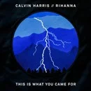 Calvin Harris - This is what you came for