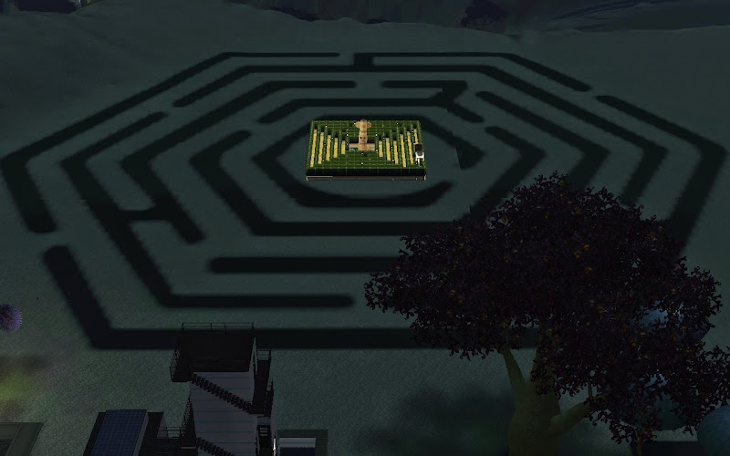 Labyrinth%252520%2525281%252529.jpg