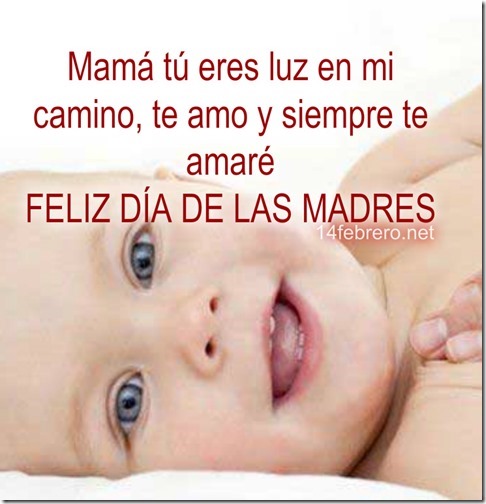 luz rn mi cam luz rn mi cam
