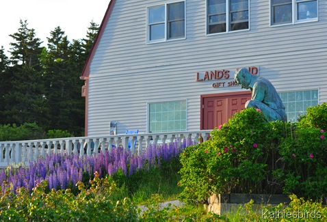 1. Land's End-kab