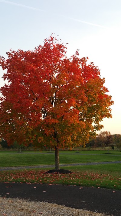 Photos of Upper Salford Park