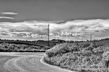 3 maggio 2014 Grana, Alfiano Natta, Grazzano Badoglio, Montachiaro,Montemagno d'Asti - fotografia di Vittorio Ubertone