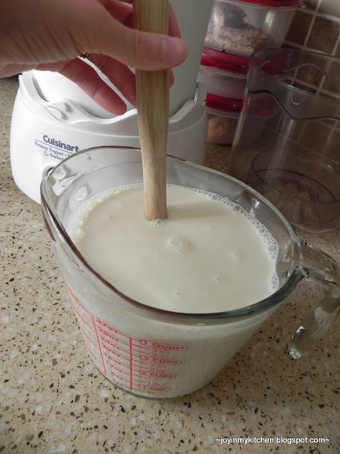 Finding Joy in My Kitchen: Sweetened Condensed Milk Ice Cream