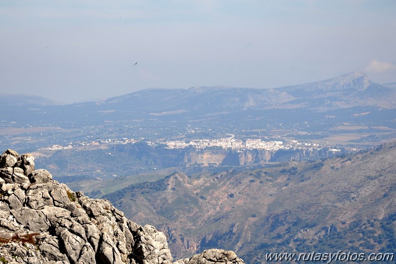 Palo-Tunio-Zahibe