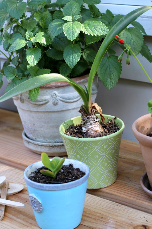 Potting Table for your Herb Garden