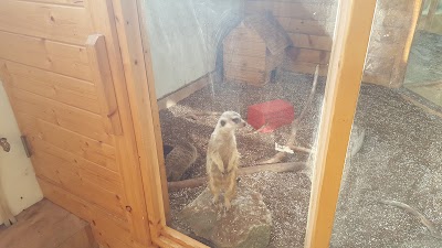 Photos of 양주자동차극장