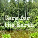 Care for the Earth