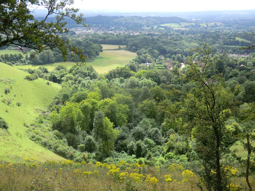 CIMG5913 Looking down from Colley Hill