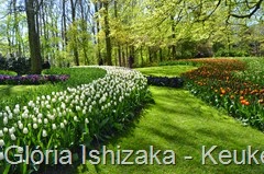 1 .Glória Ishizaka - Keukenhof 2015 - 39