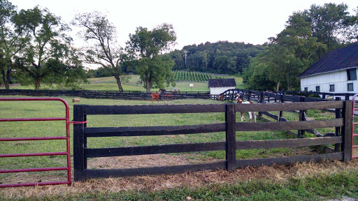 Winery «Aspen Dale Winery at the Barn», reviews and photos, 11083 John Marshall Hwy, Delaplane, VA 20144, USA