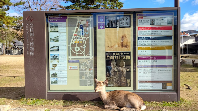 奈良公園 シカ 観光大使