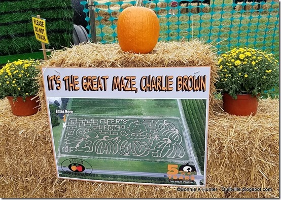 Quiltville's Quips & Snips!!: It’s The Great Pumpkin, Delaware!