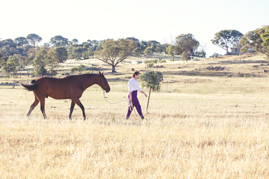 Behind the scenes of everyday life with Vivien of Holloway | Lavender & Twill