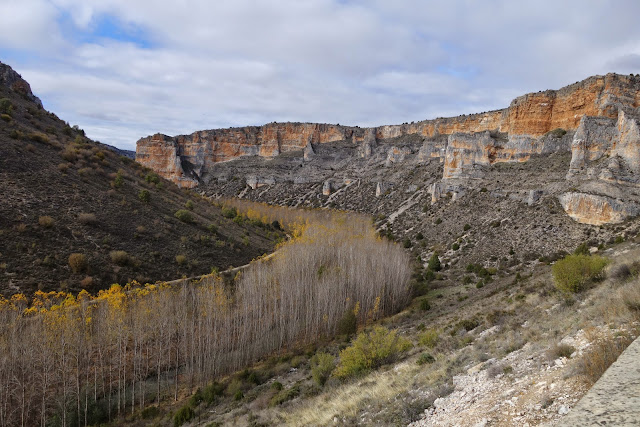 SENDA DE LAS HOCES DEL RÍO RIAZA (SEGOVIA). - Senderismo por España. Mis rutas favoritas: emblemáticas, paseos y caminatas (33)