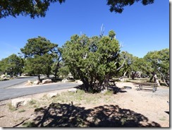 Desert View Campground