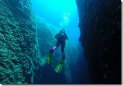 Wenig Fische - aber herrliche Unterwasser-Landshaft