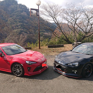 BRZ ZC6