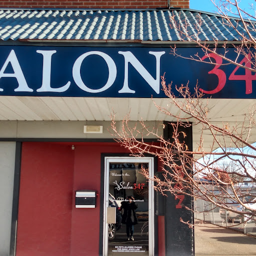 Salon 347 logo